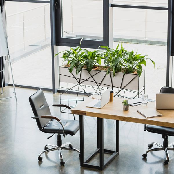 Immobilienmakler Landau Getto immobilien