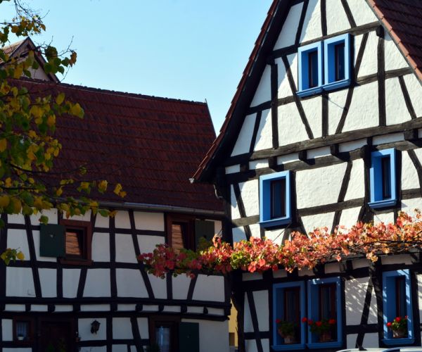 Haus-kaufen Neustadt-an-der-Weinstraße-2