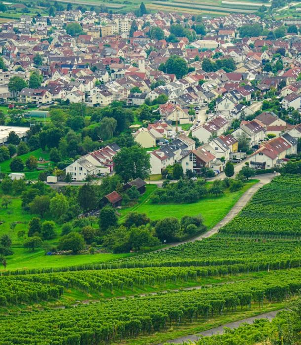 Immobilienmakler SüW dorf