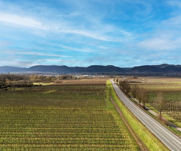 Immobilienmakler SüW landschaft 3