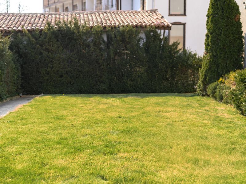 Immobilienmakler Kandel garten 2