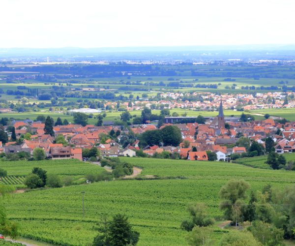 Immobilien in Landau
